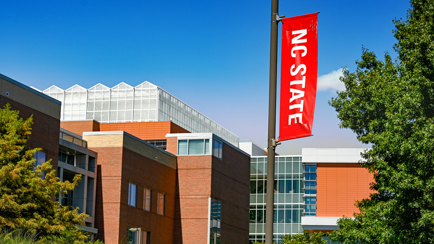 Campus photo displaying NC State banner.