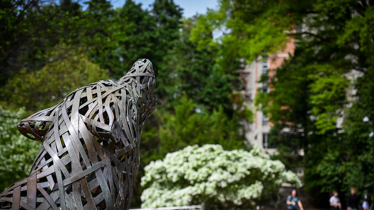 One of the copper wolves at Wolf Plaza looks out over students passing by during spring time. Photo by Marc Hall