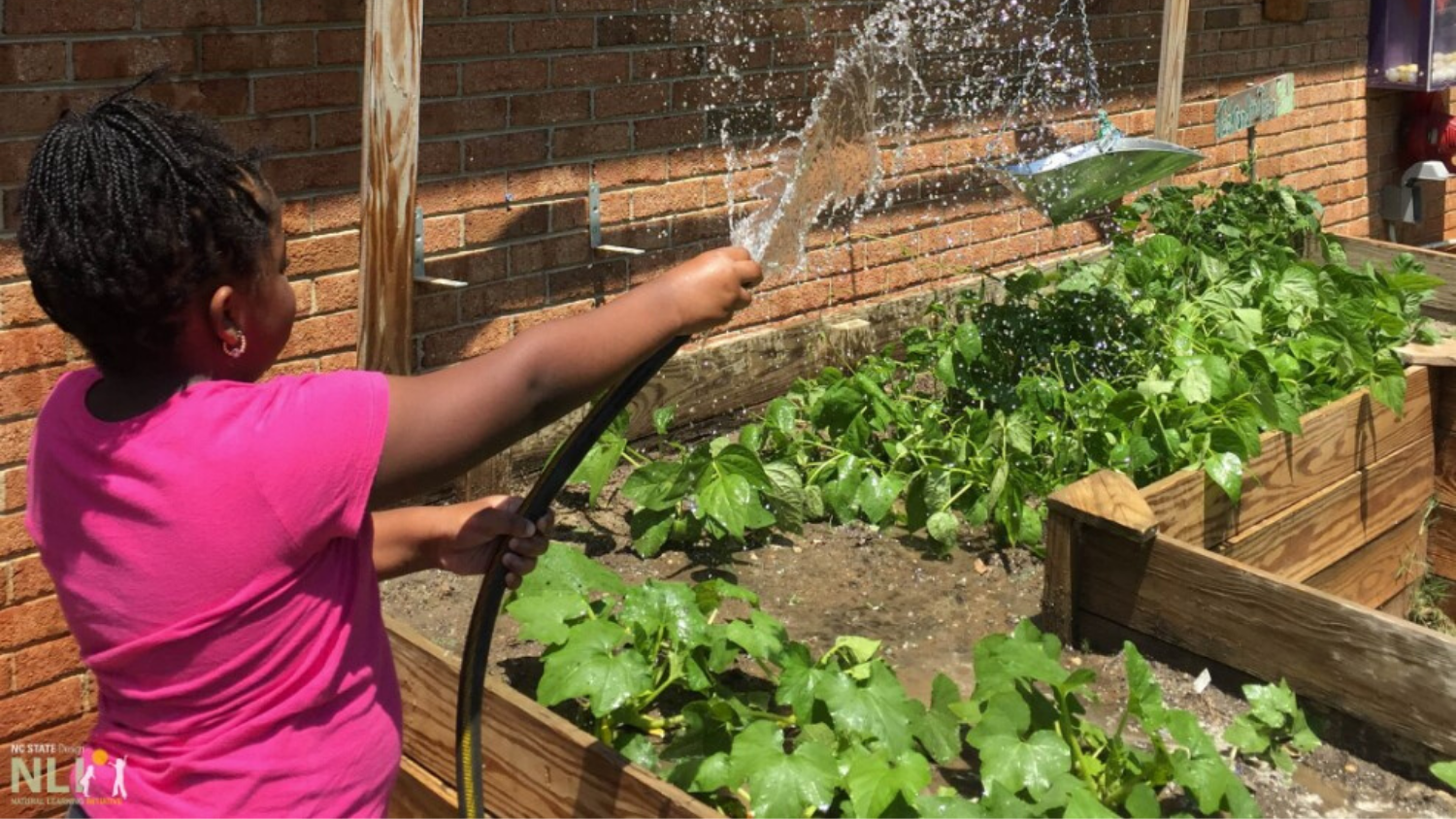 A child waters a fruit and vegetable garden with a hose.