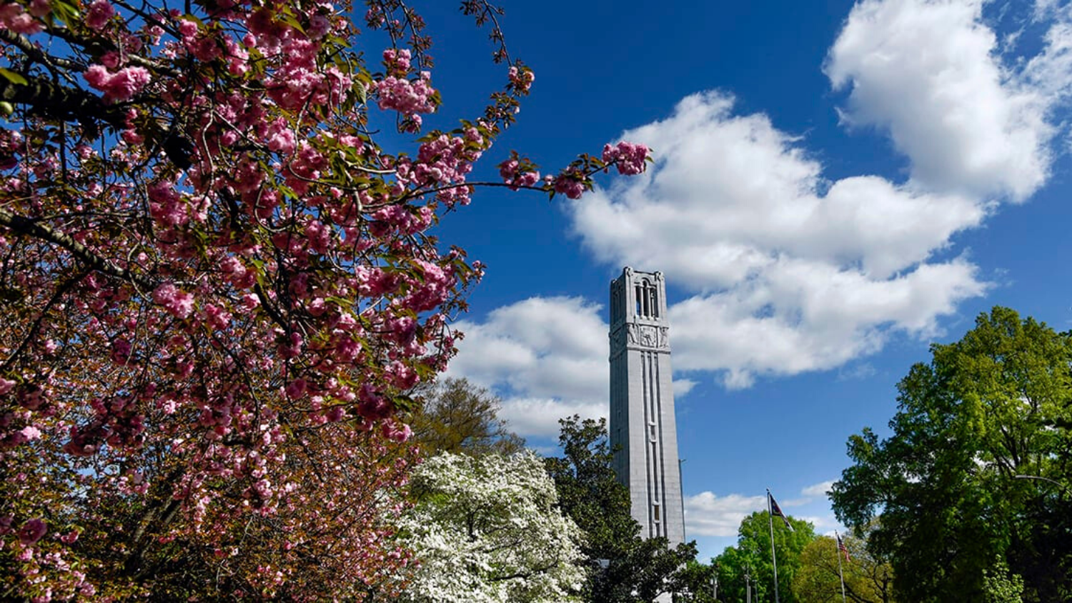 Belltower from a distance framed by trees and clouds.