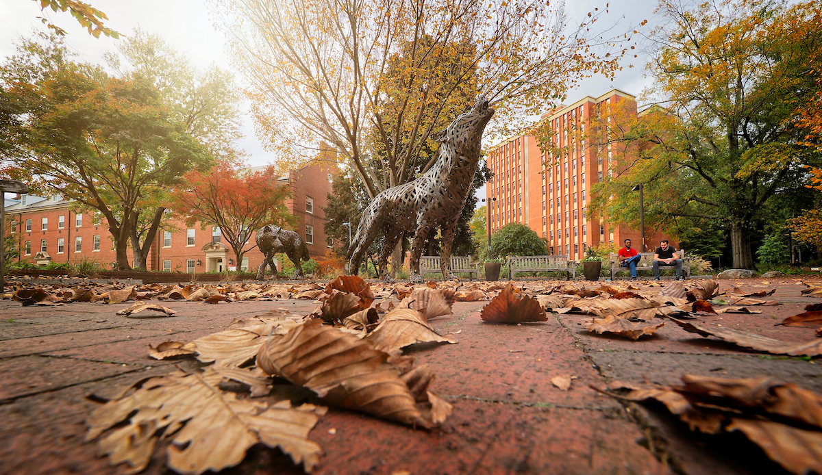 Students enjoy a fall day by the copper wolves in Wolf Plaza on main campus. Photo by Marc Hall