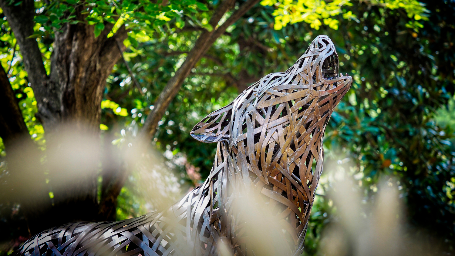 The copper wolves of Wolf Plaza on a summer day.