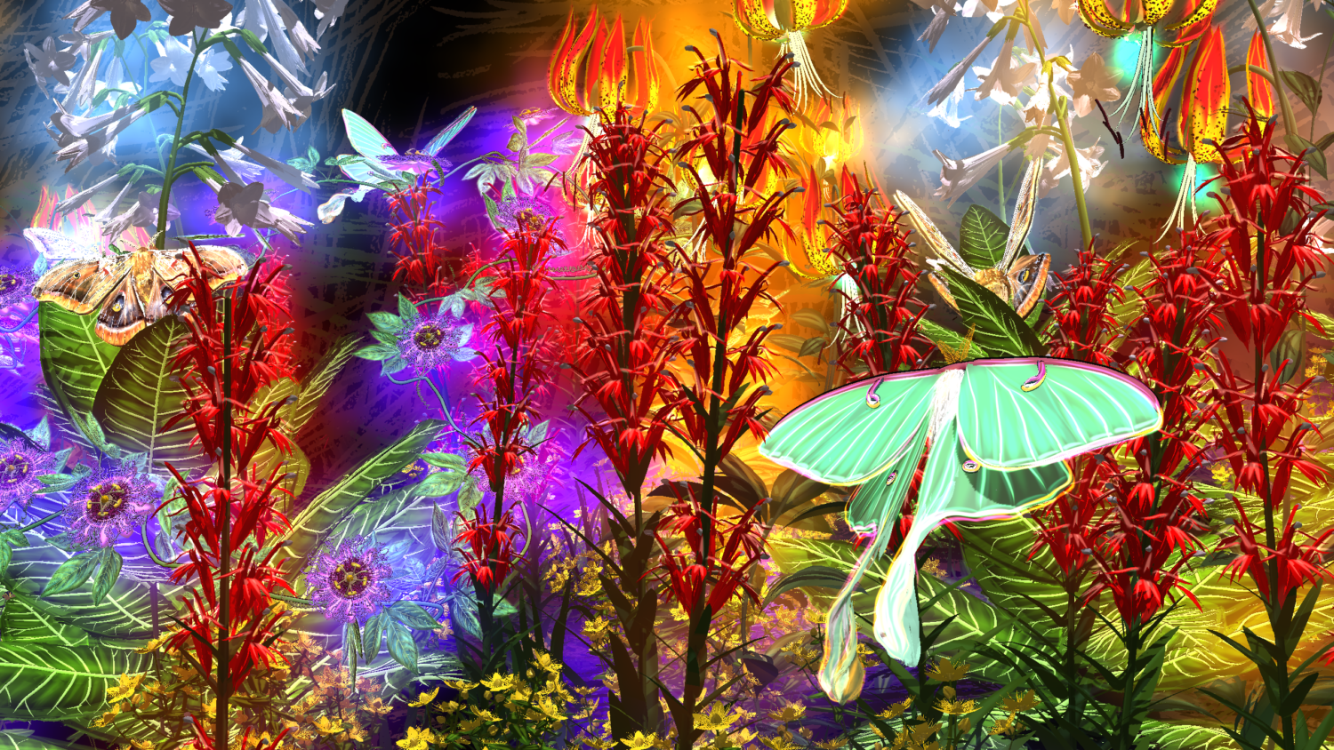 Colorful animated environment of plants, insects and light.