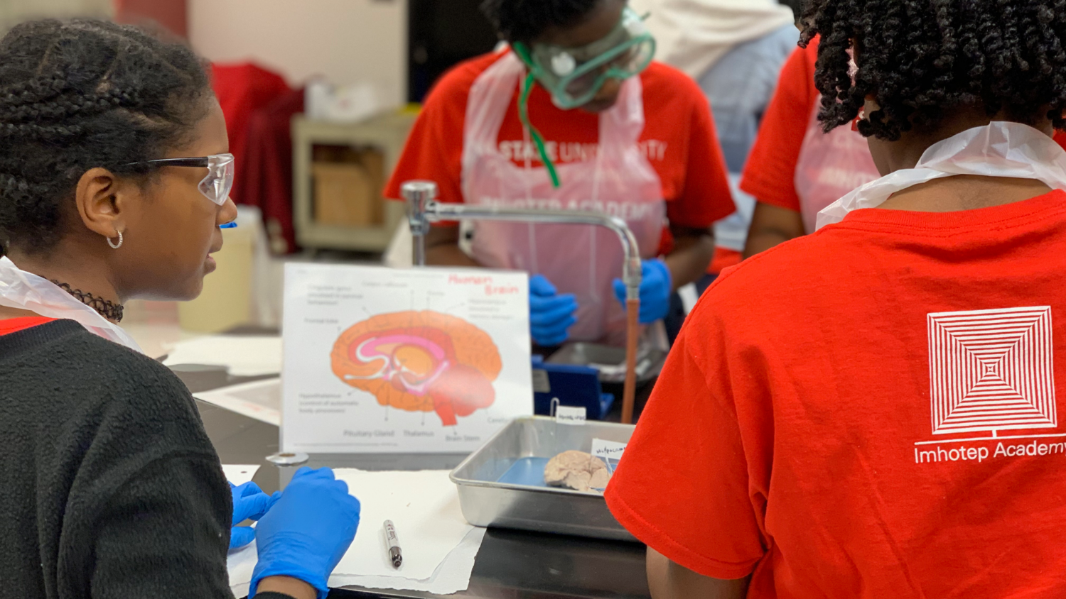 Two young students work on a dissection in a lab.