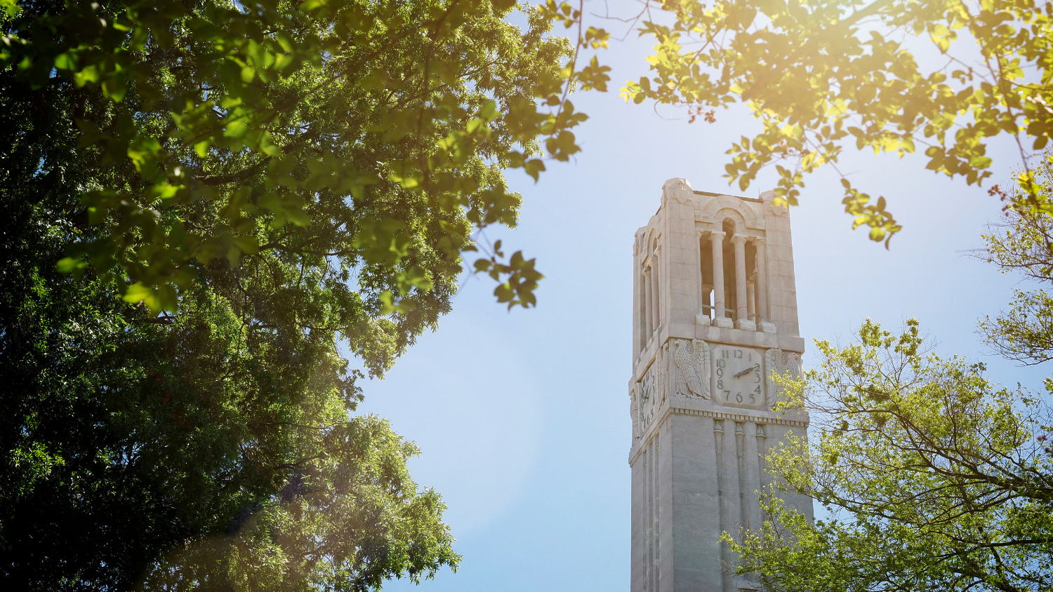 NC State Belltower