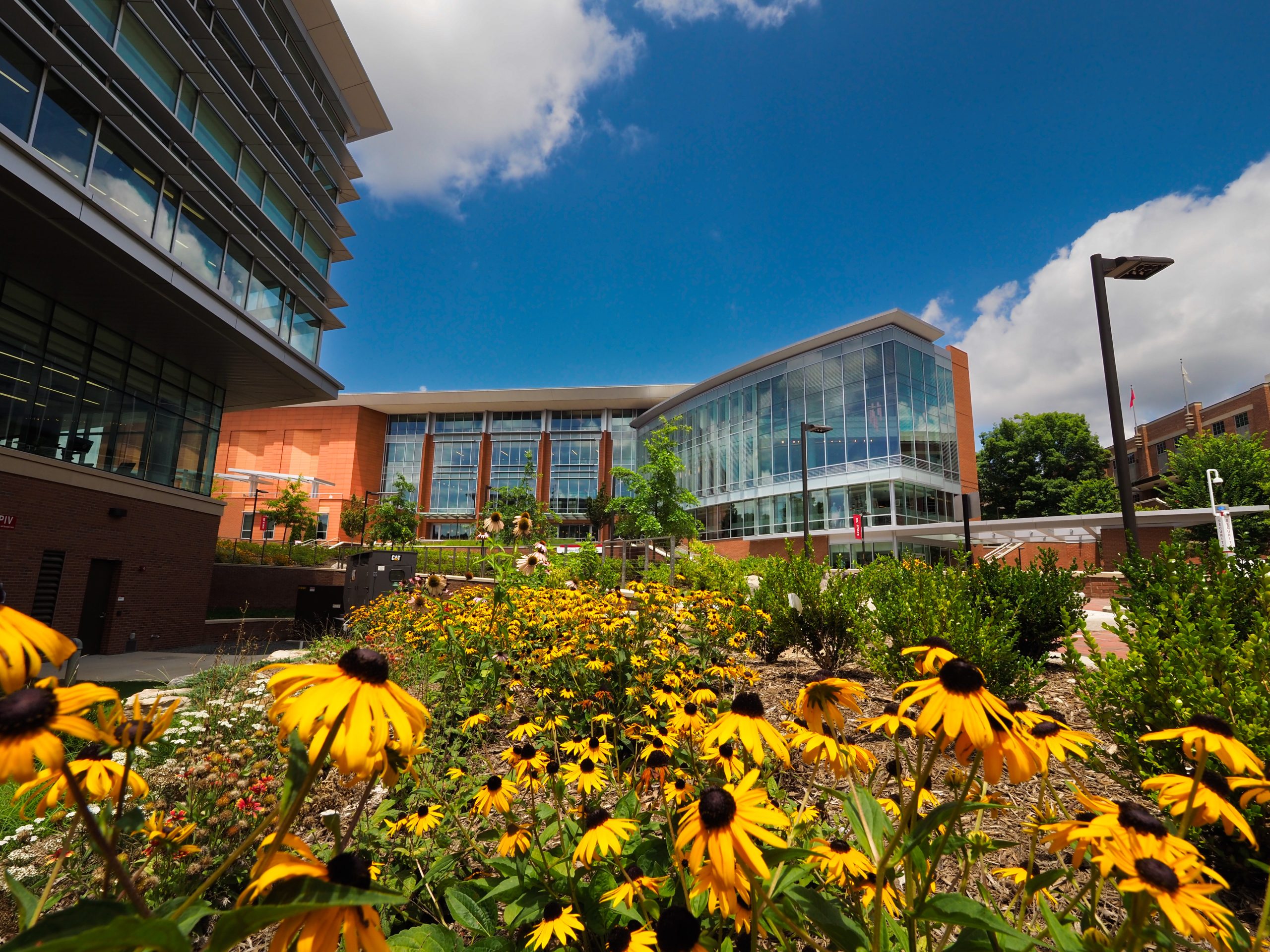 NC State's Talley Student Union is framed by summer flowers. Photo by Marc Hall