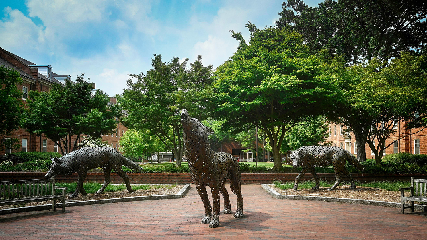 The copper wolves at Wolf Plaza near Talley on main campus. Photo by Marc Hall