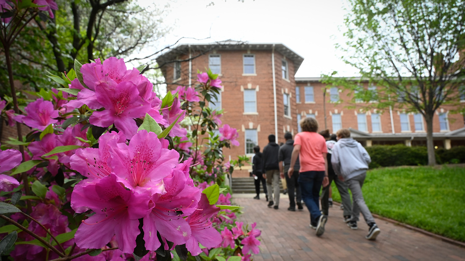 A group of people make thier way past fresh sping flower blooms on their way up to the 1911 building. Photo by Marc Hall