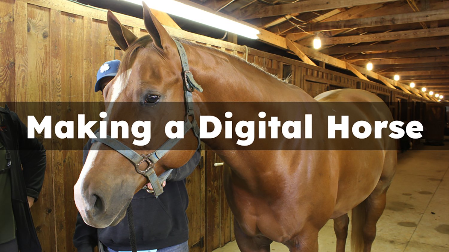 Quarter horse with text "Making a Digital Horse"