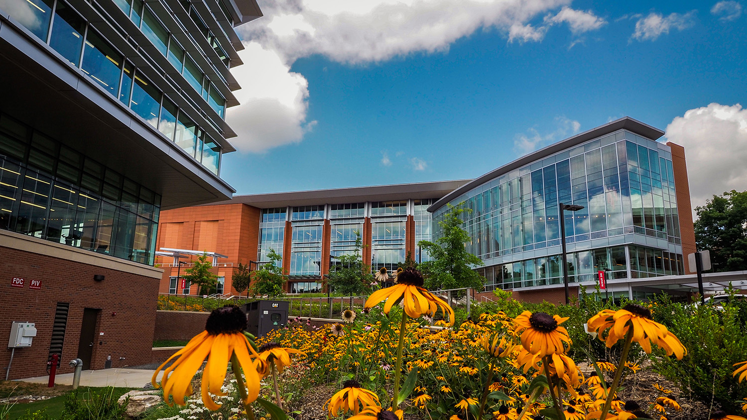 NC State's Talley Student Union is framed by summer flowers. Photo by Marc Hall