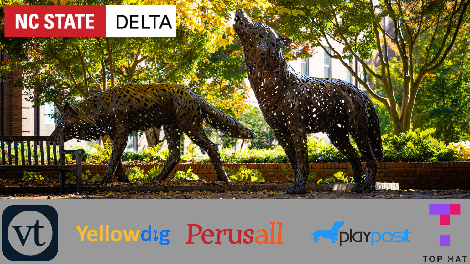 Decorative: NC State DELTA, with learning technology vendor logos.