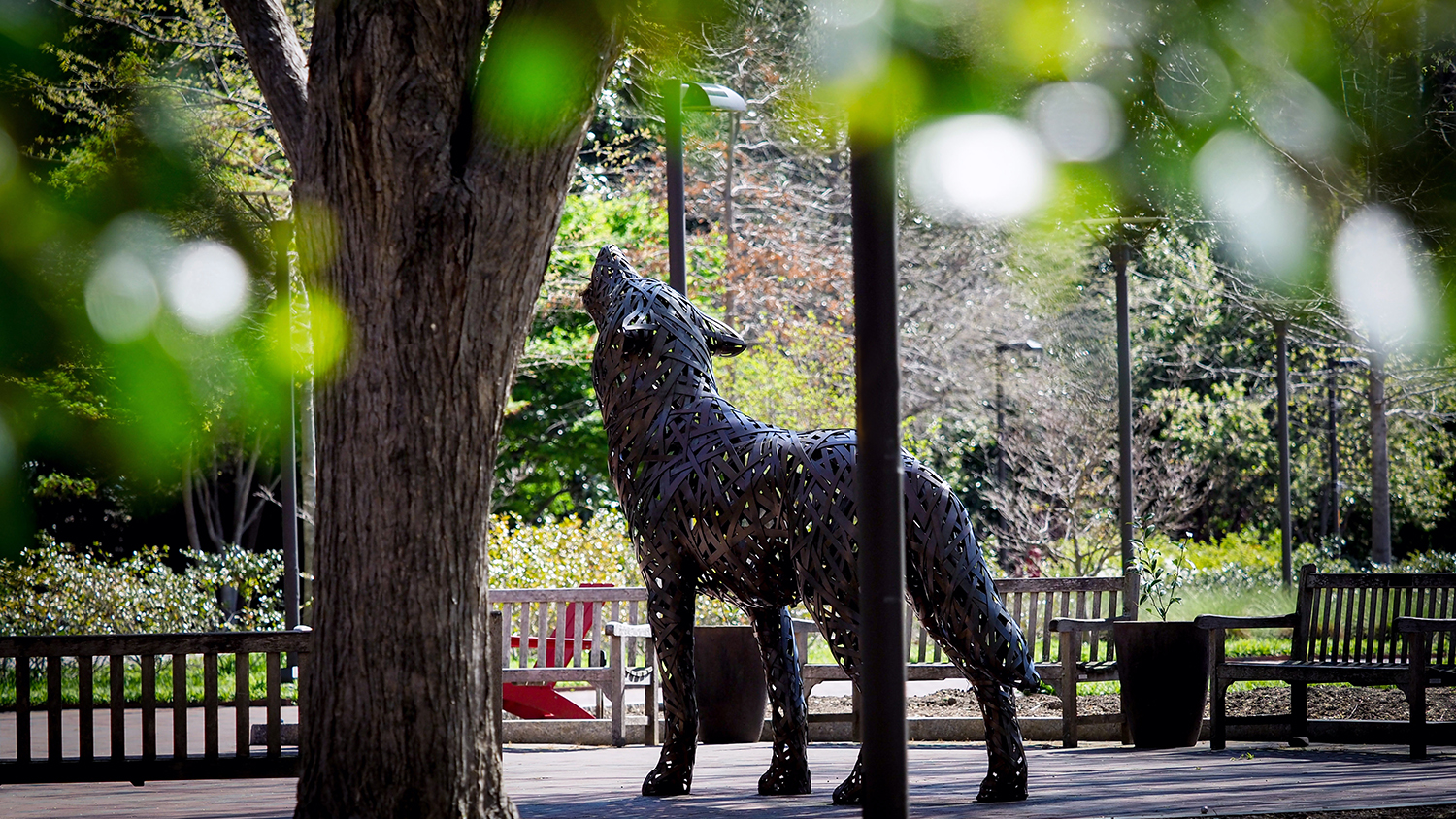 Wolf Plaza in the spring. Photo by Becky Kirkland.